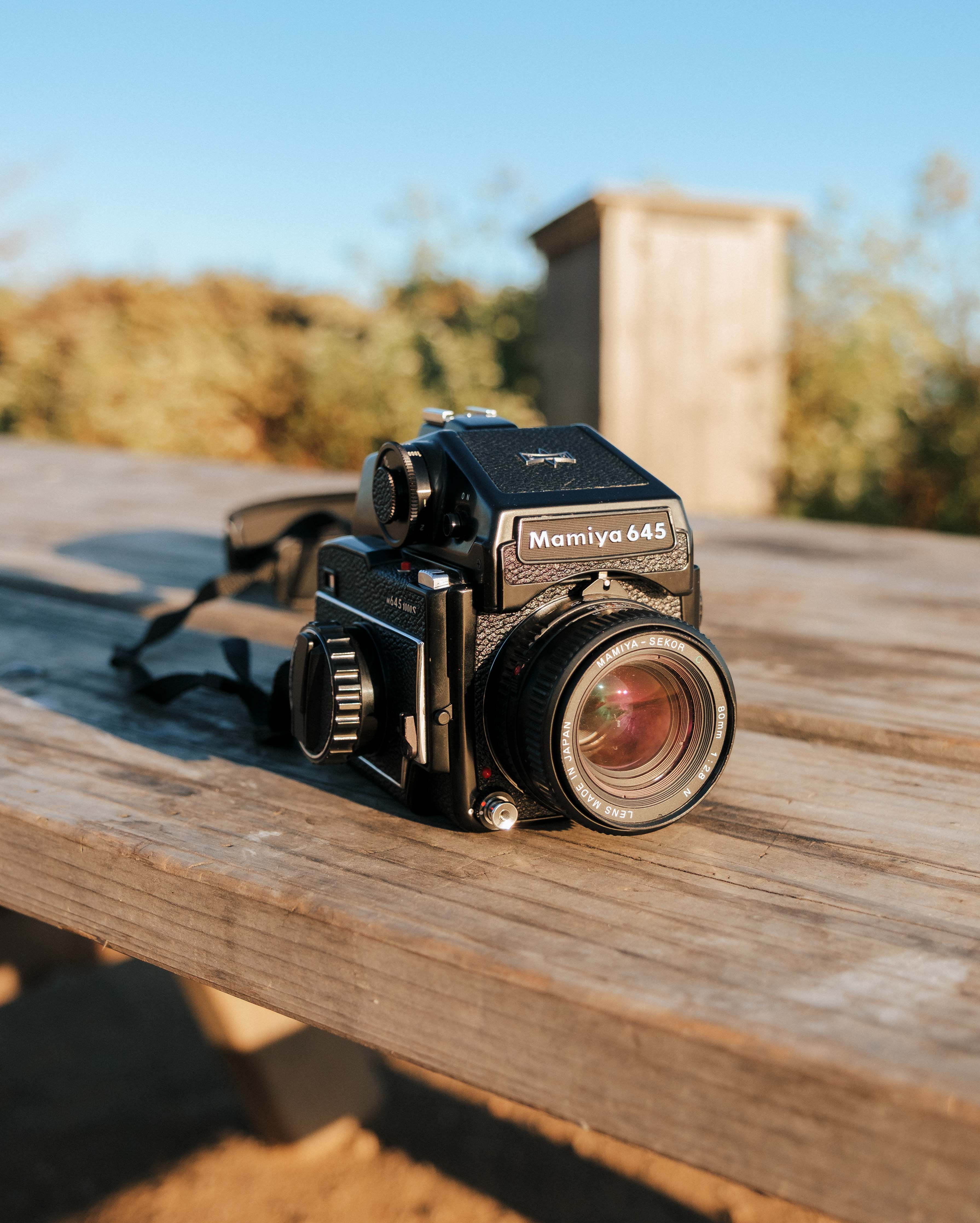 Is the Mamiya 645 the Best Medium Format Camera for Beginners