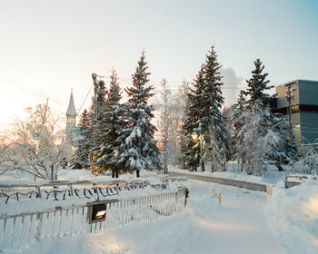 snowy alaska on film photo essay 35mm