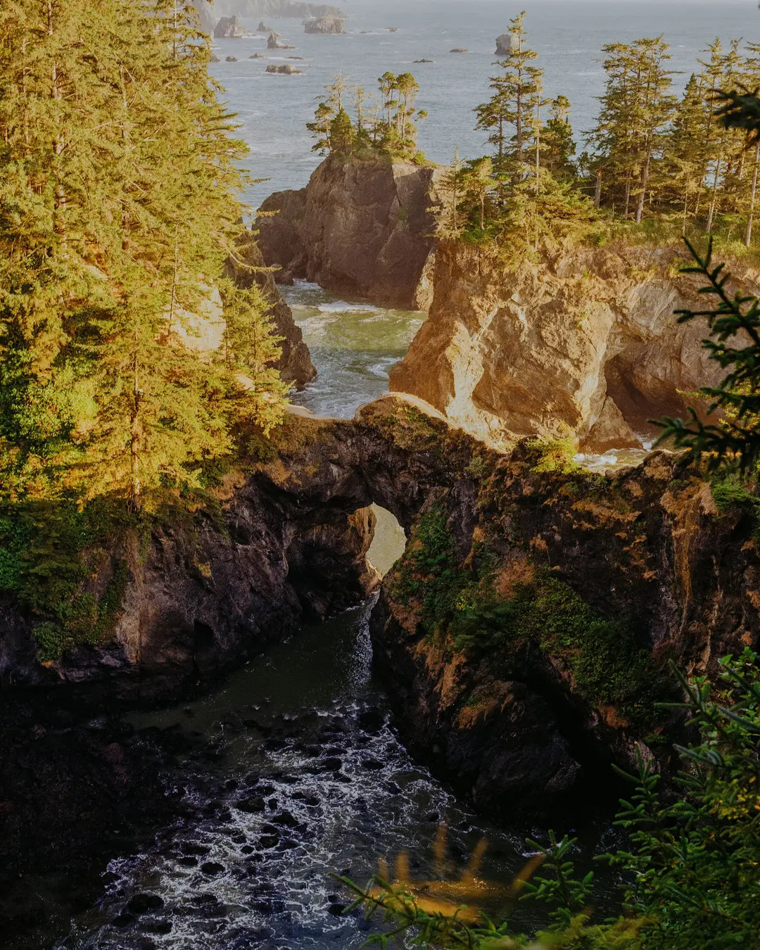 Kodak Portra image of an Oregon coast waterfall at golden hour