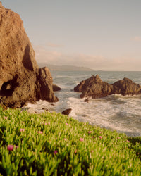 Kodak Gold 200 by Heechan Kim